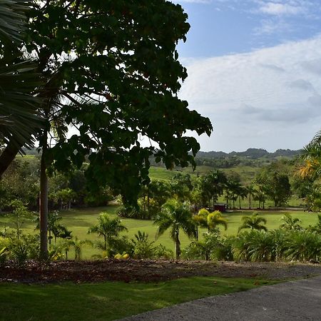 Hotel Hacienda Agroturistico Vista Hermosa Camuy Екстериор снимка