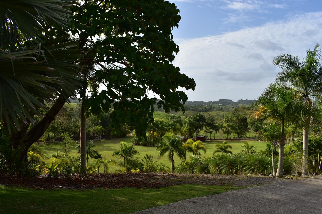 Hotel Hacienda Agroturistico Vista Hermosa Camuy Екстериор снимка